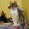 Отзыв от Анна Пахомова